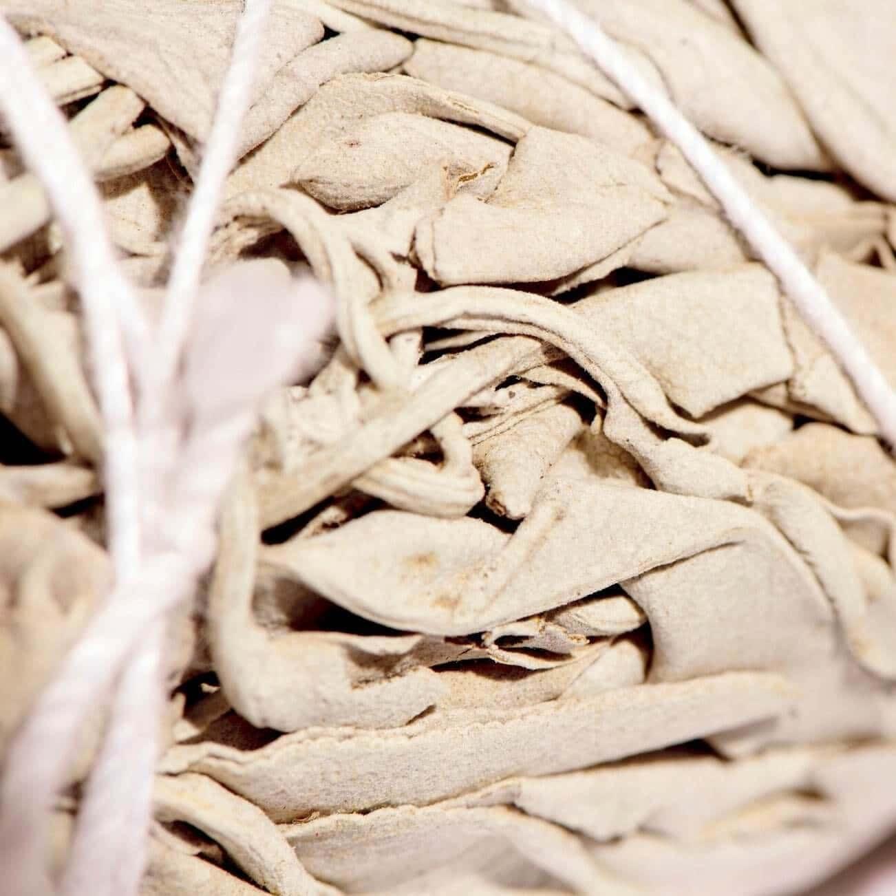 Sentara Traditional Sage Stick — hand-tied ethically harvested white sage bundle | Botā