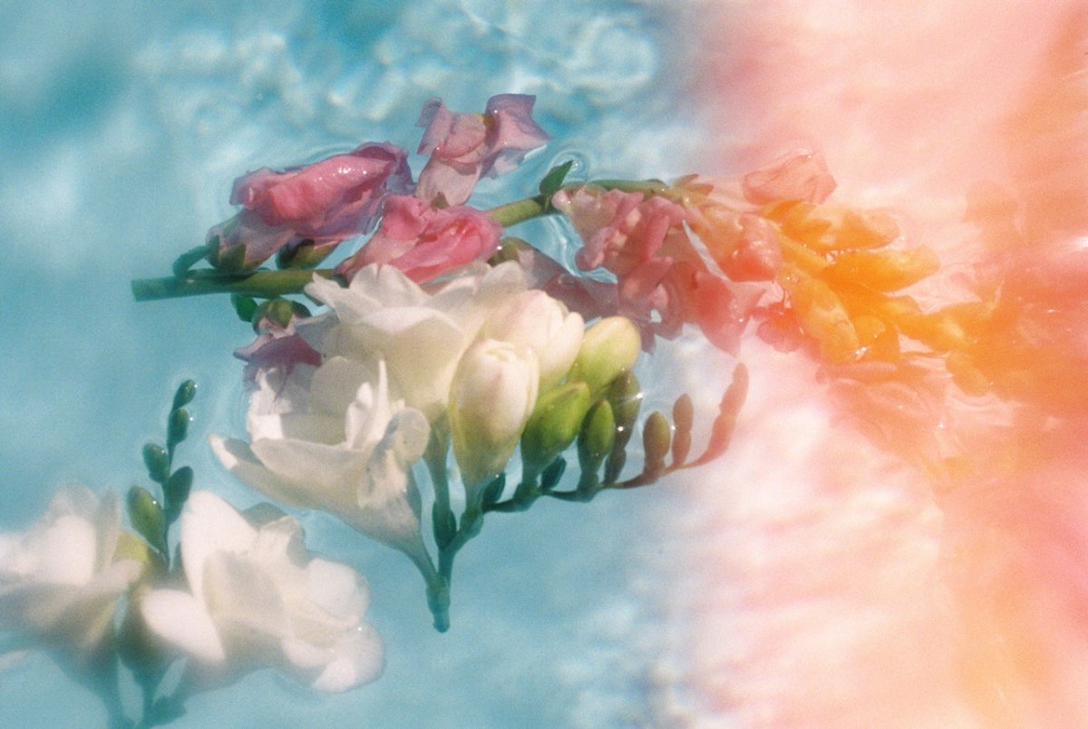 How often to moisturize face daily - skincare routine guide for healthy hydrated skin and proper moisturizing Bota