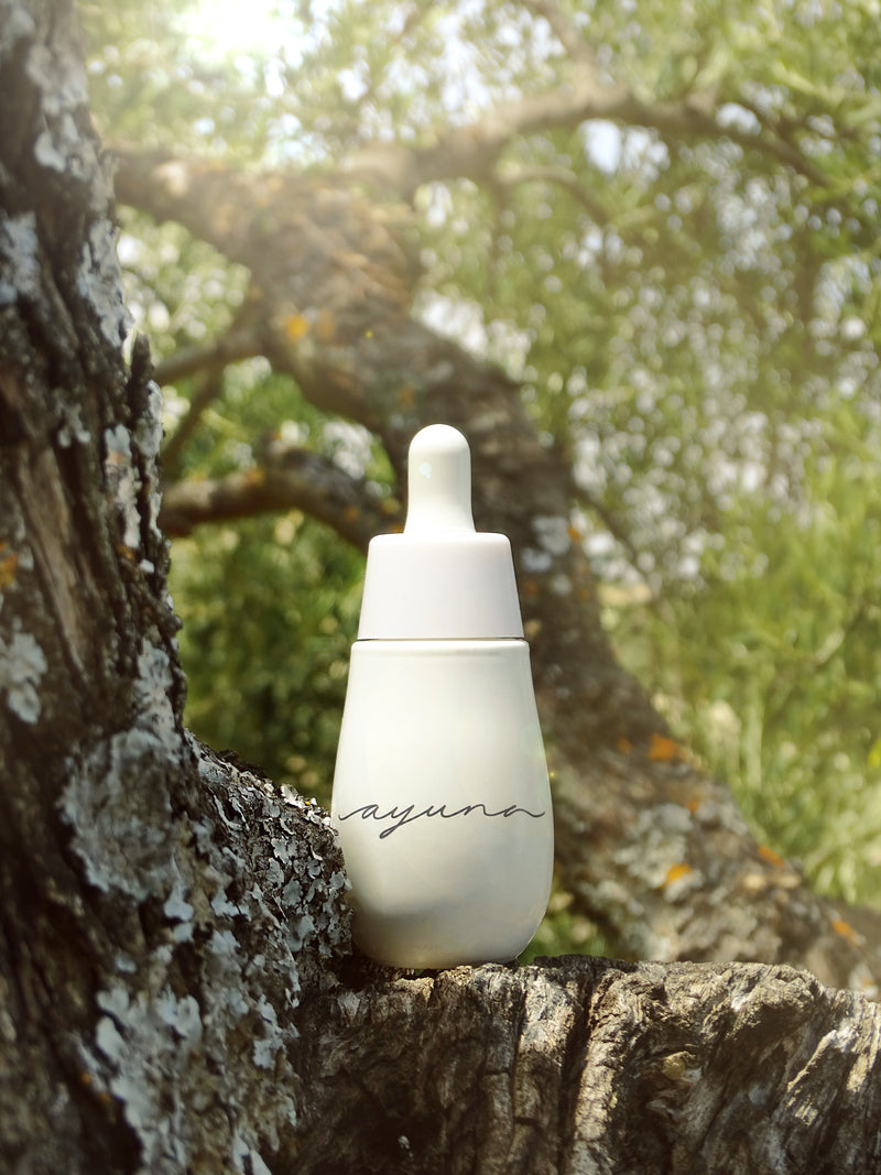 Ayuna dropper bottle standing on a lichen-covered tree trunk with sunlit green foliage behind | Botā natural skincare.